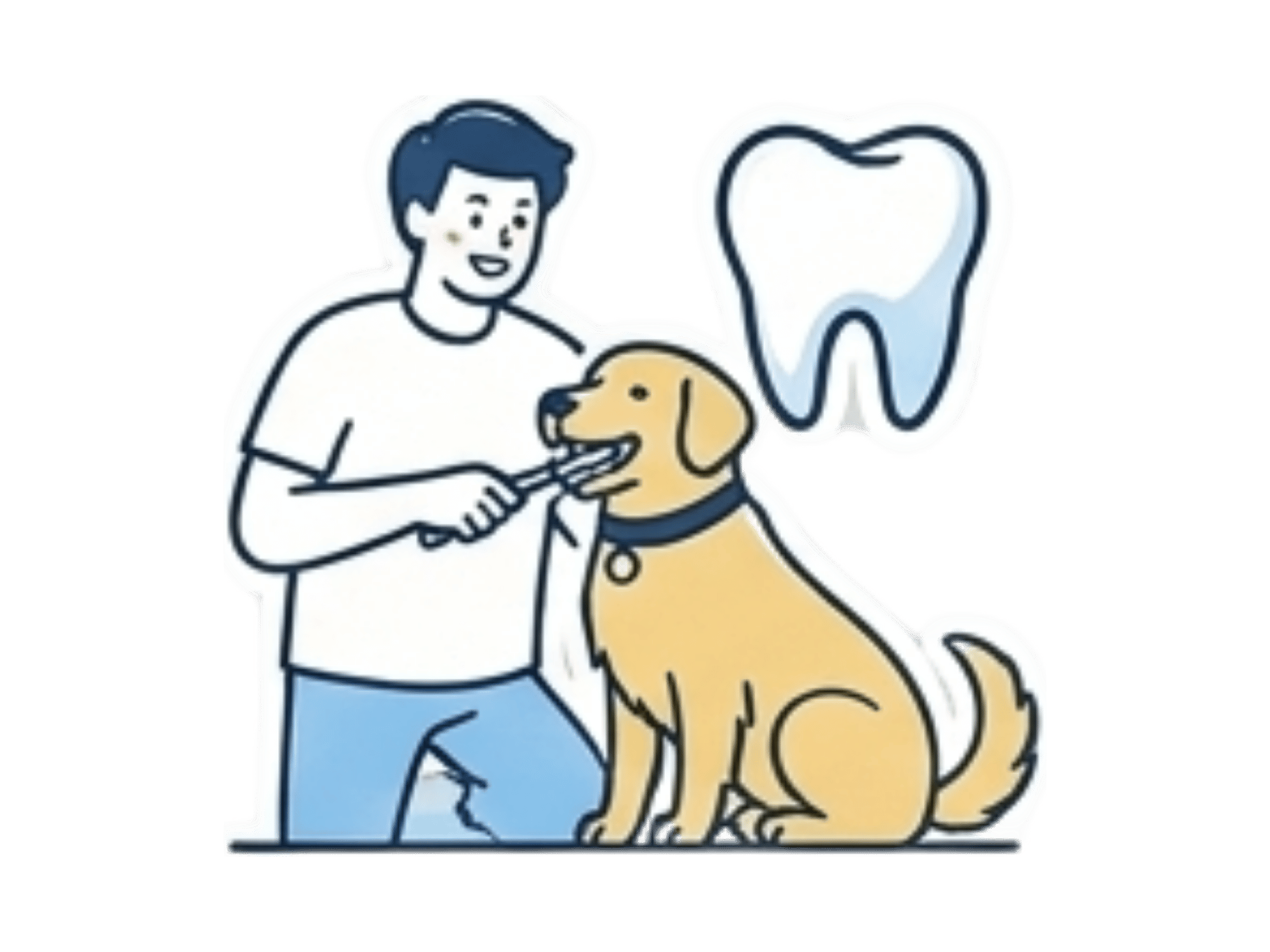 Primary Care | Quill's Direct Vet Care