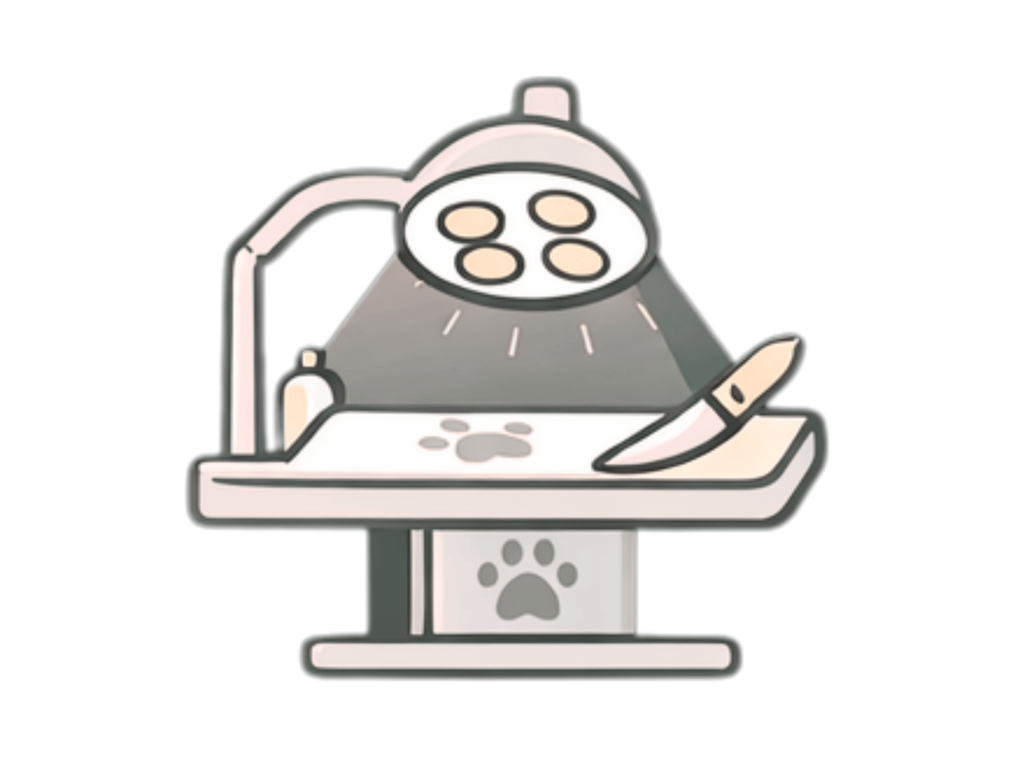 Surgery | Quill's Direct Vet Care