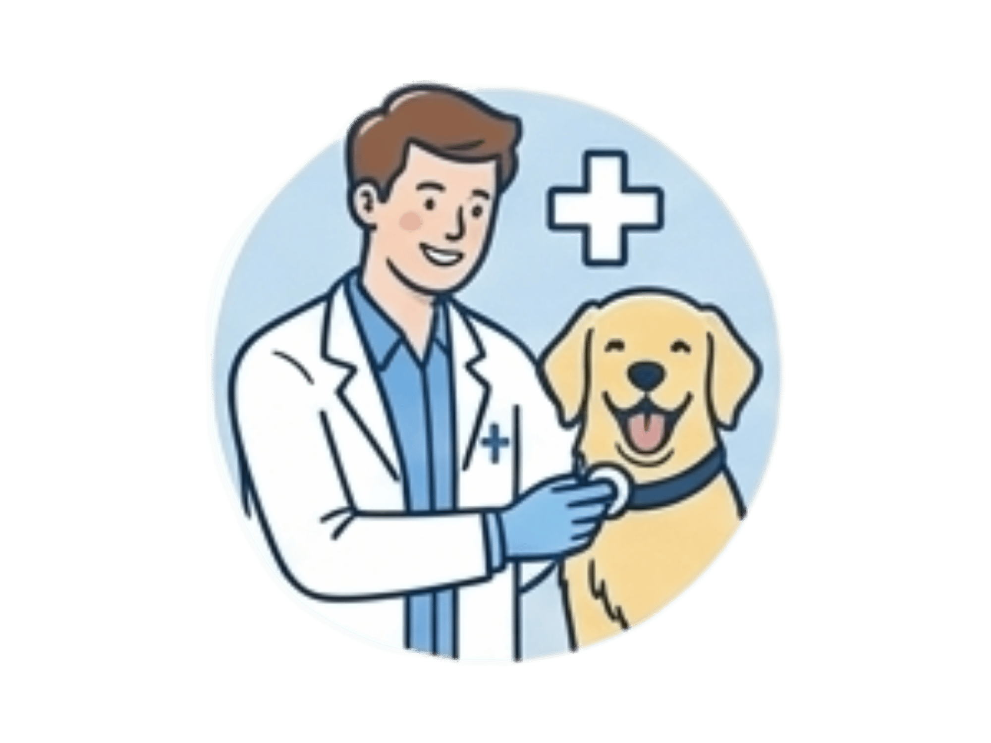 Primary Care | Quill's Direct Vet Care